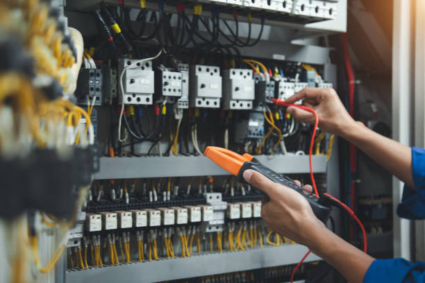 Best Electric Panel Repair  in Tigerville, SC